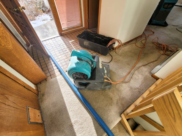Best Water damage restoration near me  in Oatfield, OR