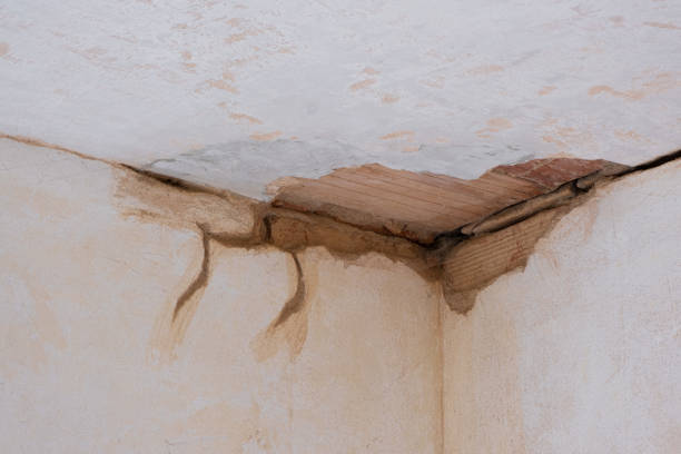 Best Water damage restoration near me  in Oatfield, OR